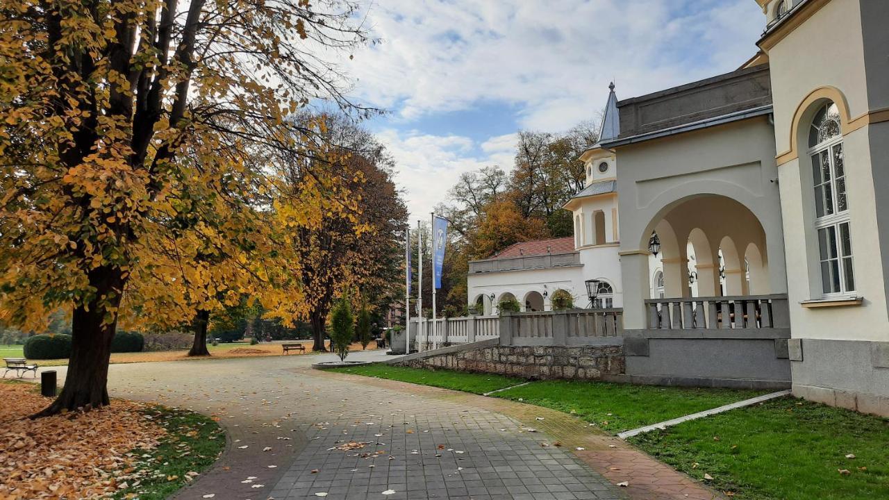 Apartman Mila, Banja Koviljača Exteriör bild