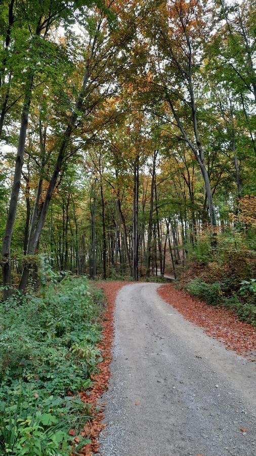 Apartman Mila, Banja Koviljača Exteriör bild