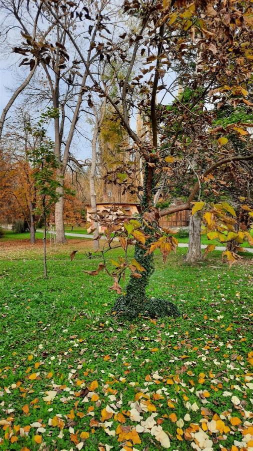 Apartman Mila, Banja Koviljača Exteriör bild